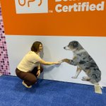 Photo by Veterinarian Coaching (@DVMCoaching)