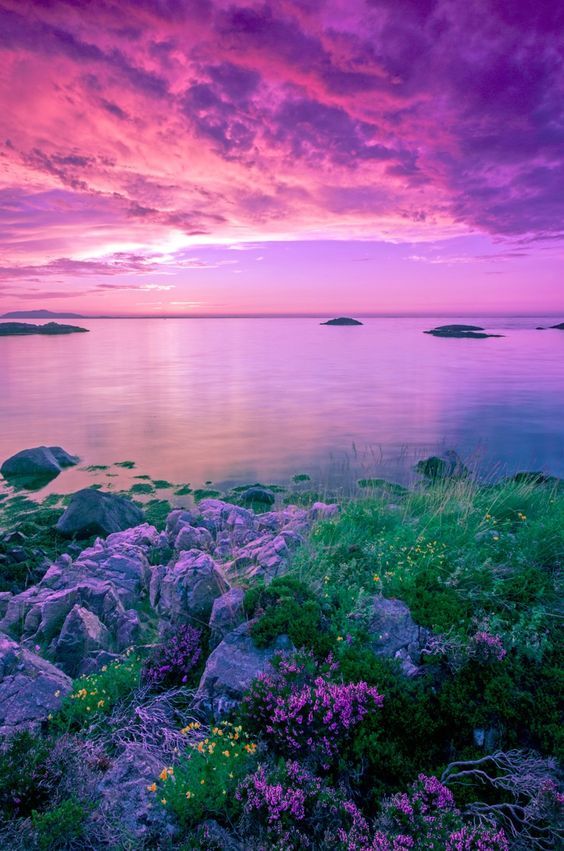KatanaHugo's tweet photo. Good evening dear friends !
#photography #photo #photographer #evening #sunset https://t.co/cwf8Bq0D8w