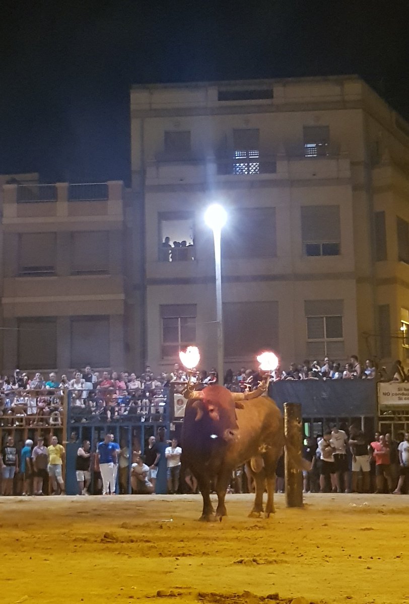 verdeguer's tweet photo. @joanribo 💯 Viva‼ Viva la riqueza de la cultura y tradiciones del pueblo chino y de #València, sus pueblos, pedanías y sus comarcas... #Visca!! Clar que sí @joanribo #retoret i #borinot! No volem #autoodi!! 🤘🏽 https://t.co/V1FlJd0qwb