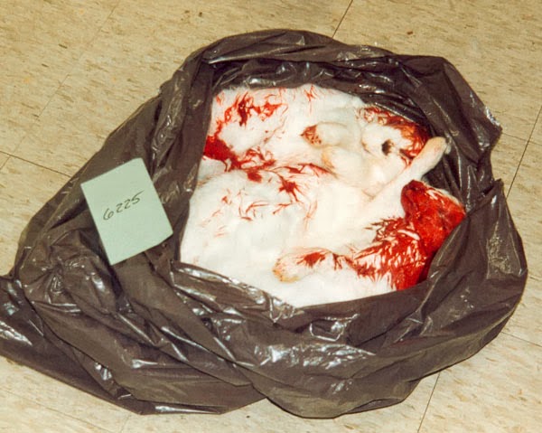 Peanutnoir04's tweet photo. Animals who survive their use in research testing can be killed after the study is completed. #OpAnimalTesting #StopAnimalTesting #BanVivisection https://t.co/8zgW8ikZYr