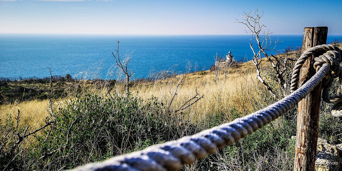 TremitiIsole's tweet photo. Il 2020 è già in moto. La Riserva Marina delle Tremiti si prepara a vivere un’altra, grande stagione di eventi targati @MARLINTREMITI1 e @cdpservice 
https://t.co/1CNrHUKUqA
#Gargano #Puglia #Tremiti @TremitiIsole https://t.co/hkPpoUBh4K