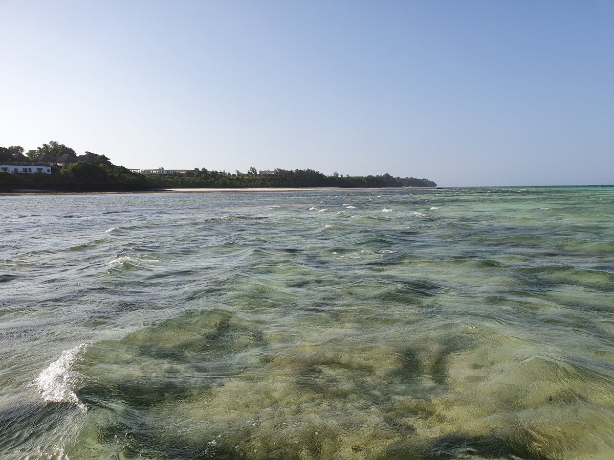 Carole Delavault tweet media