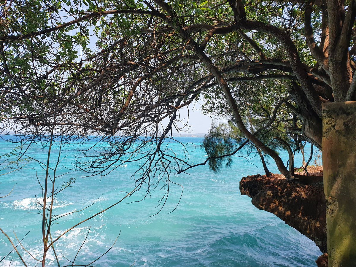 Carole Delavault tweet media