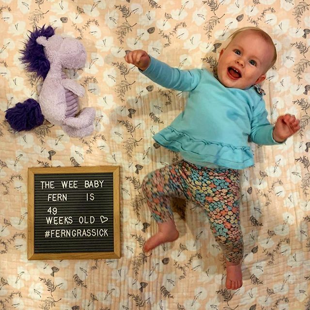 mgrassick's tweet image. We're gonna need a bigger blanket, she's getting so big!! #FernGrassick #49WeeksOld #PurpleHorsey ift.tt/36vdwlj