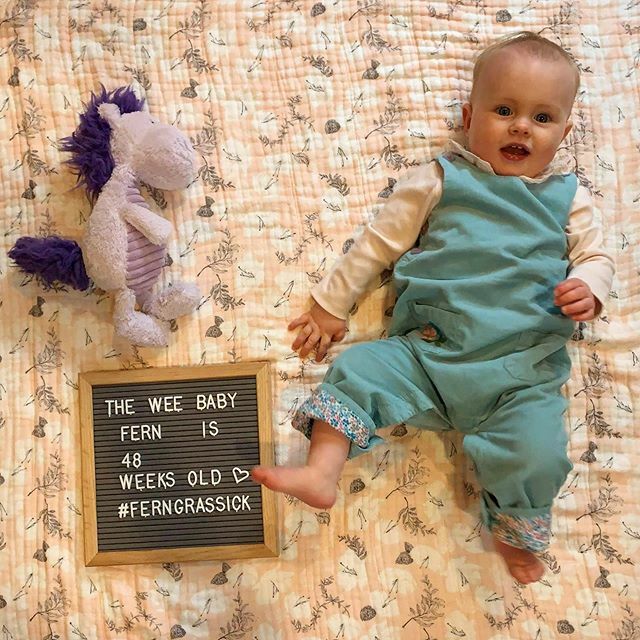 mgrassick's tweet image. I could put her in this outfit every day!! #FernGrassick #48WeeksOld #PurpleHorsey ift.tt/2vhN5mh