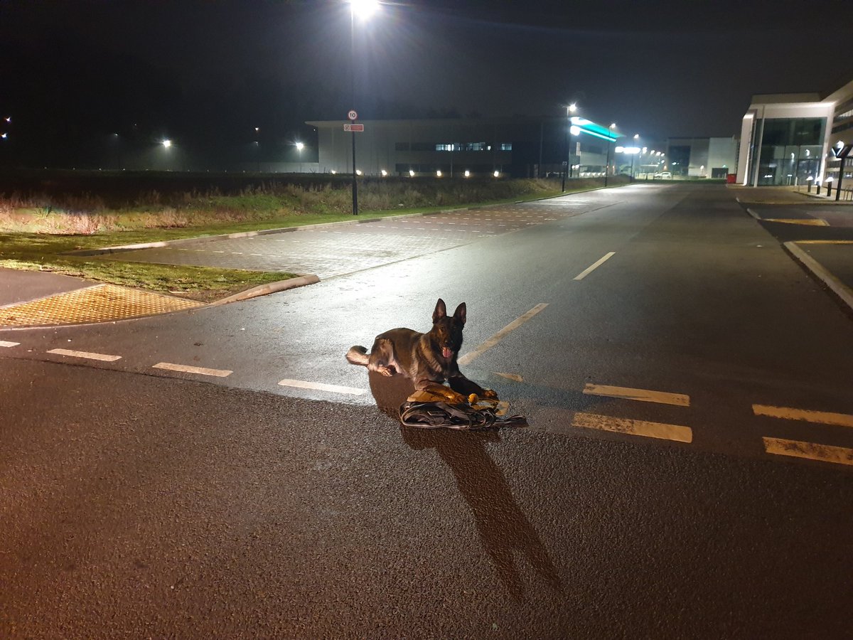 ShadowtheGSD1's tweet image. More practical tracking training last night around an industrial park. #trainforreality