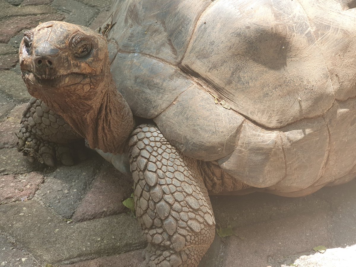 Carole Delavault tweet media