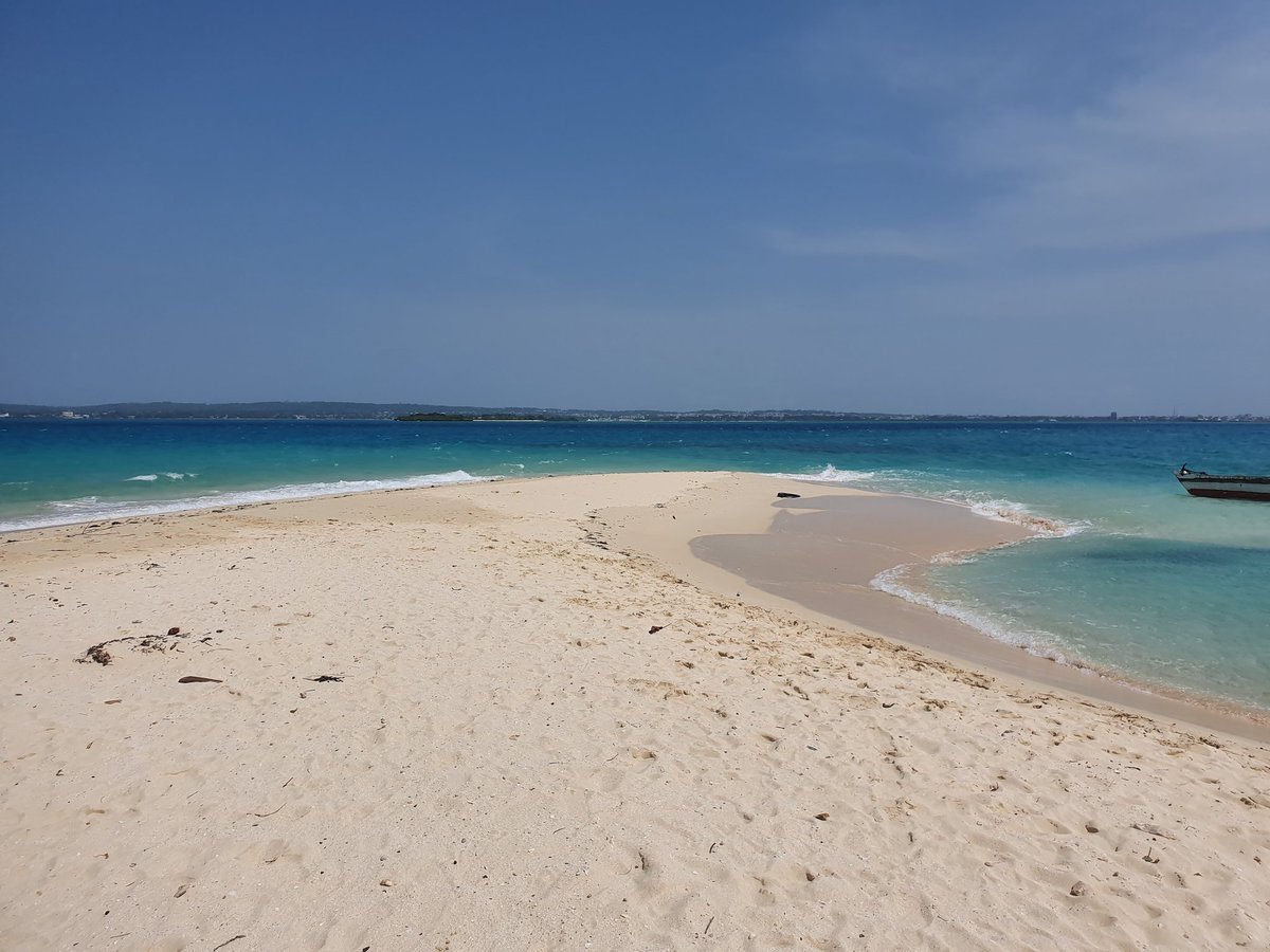 Carole Delavault tweet media