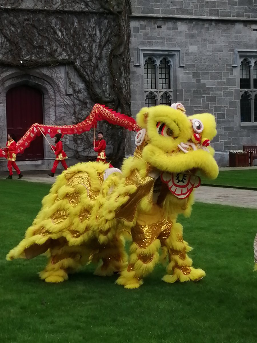 LiteraryEmma's tweet photo. Happy #ChineseNewYear2020 Thanks for the great event @icsgalway and @nuigalway https://t.co/suANhs3lUO
