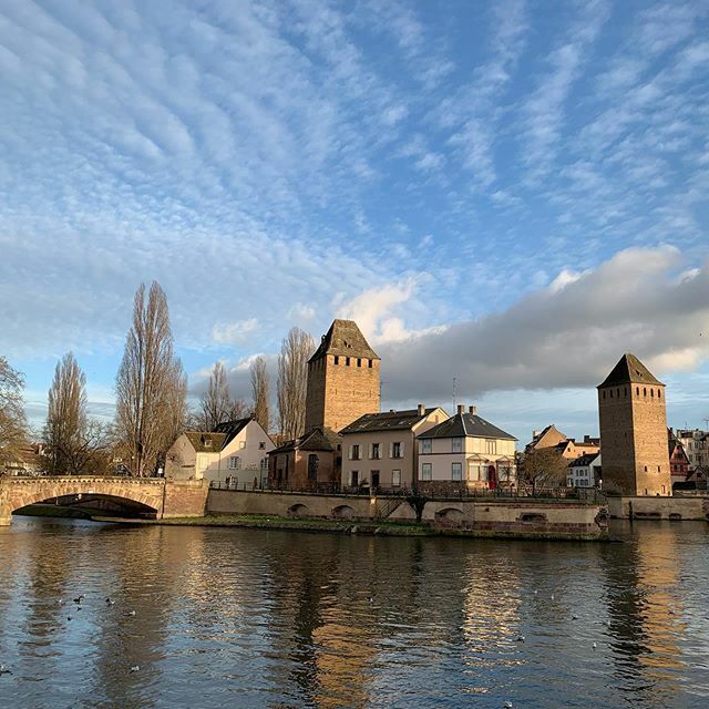 thatgoodtrip tweet media