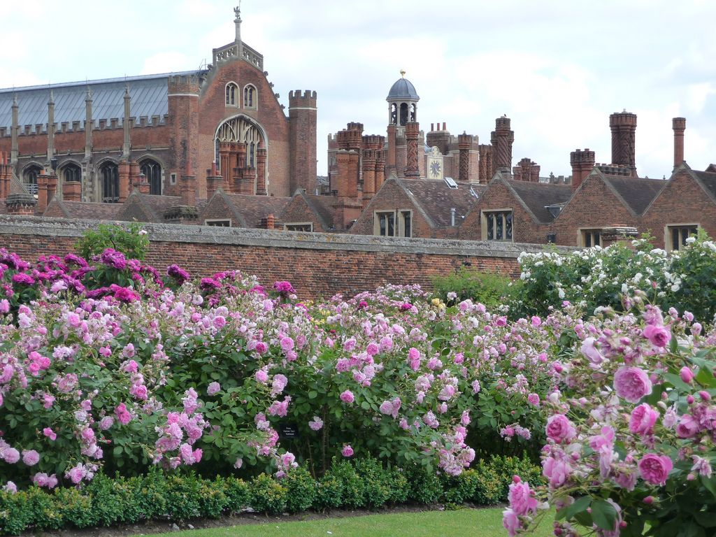 All of Ferelden has been waiting for this day~

#BryDiWedding