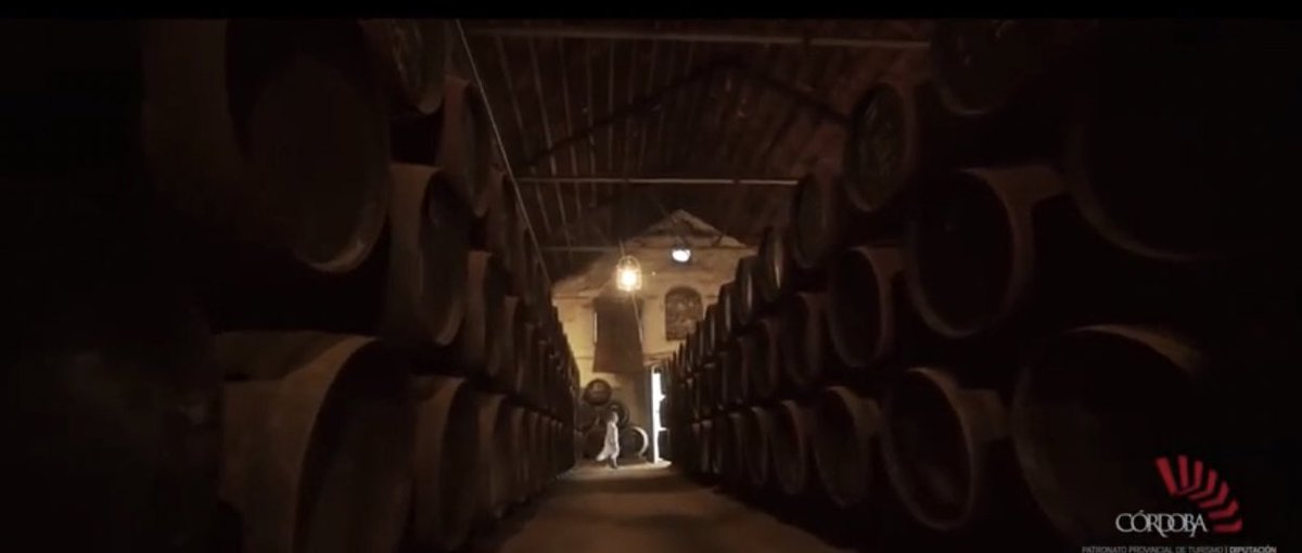 vinosdomm's tweet photo. .@fitur_madrid #FITUR2020 premia #Elviajedetuvida #Córdoba_Mágica video de promoción del patronato de Córdoba @cordoba_turismo 

⏯ https://t.co/A3xbSXMZvq #MontillaMoriles #CórdobaesMás https://t.co/tNl7mwpX7E