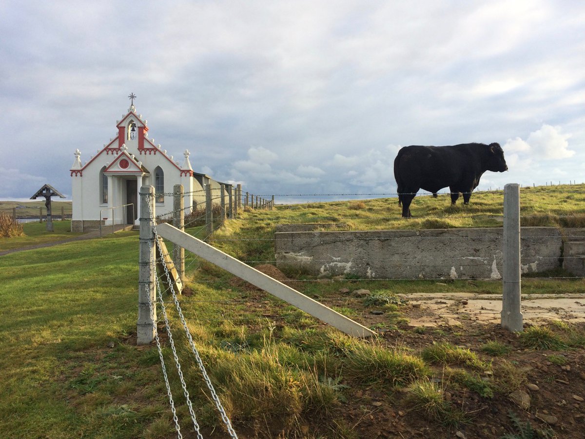 Ornate italian chapel in Scotland plus cow.