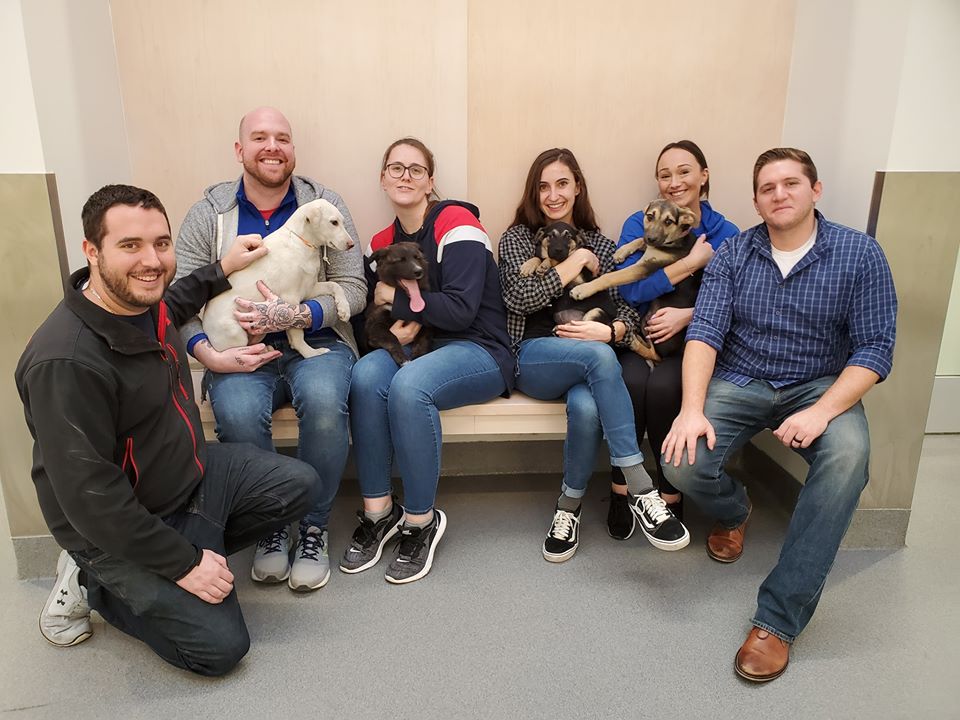 A big thank you to Medical Staffing for their help setting up for Party With The Pets. We are grateful to the community who came out to support us. Fun and fluffy photos from Party With The Pets coming soon!