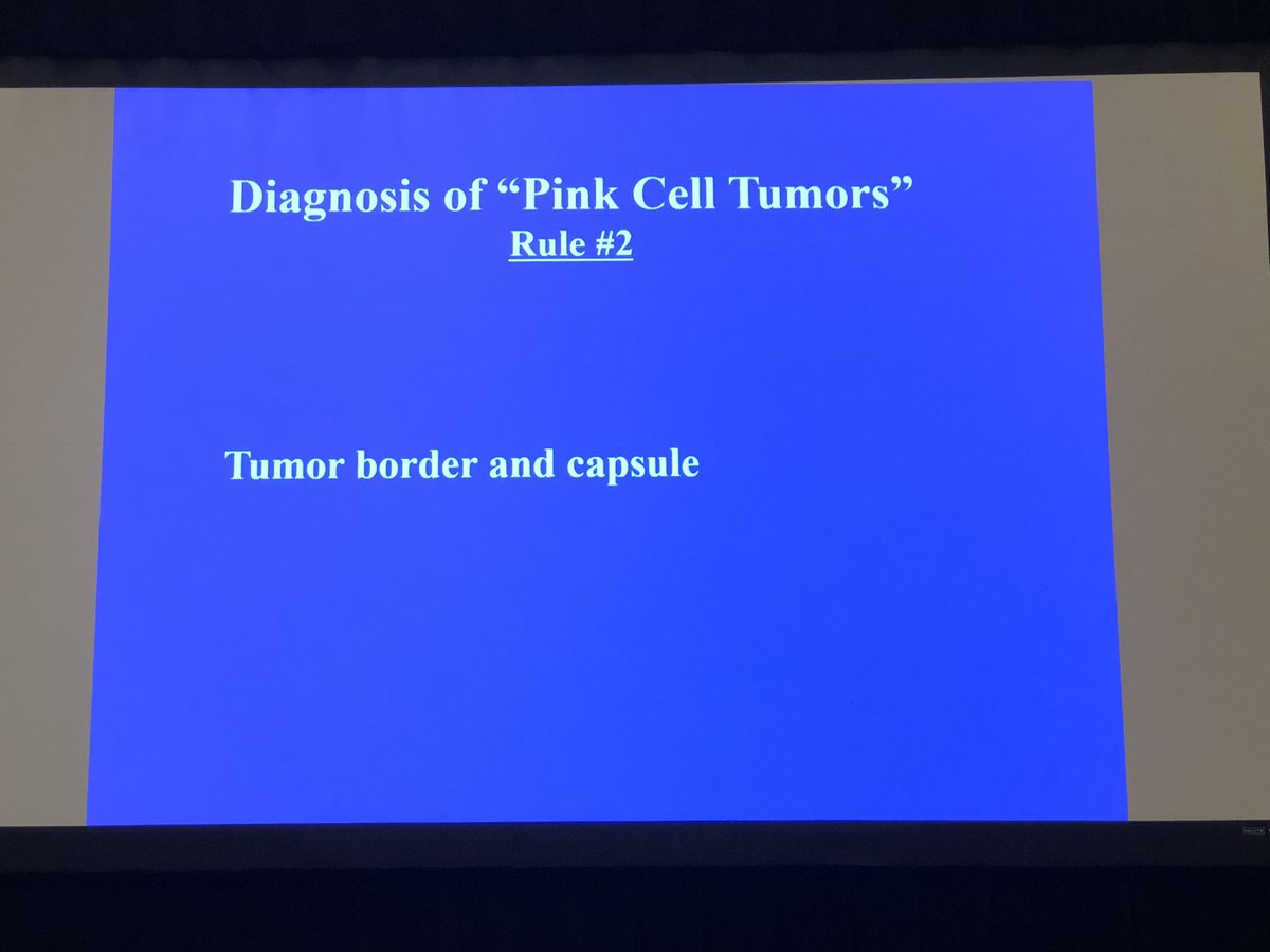 ALBoothMD's tweet photo. The many Pink cell renal tumors to know and rules to make the diagnosis from @pathmingzhou #TSP2020 #gupath https://t.co/lAVQVijizJ
