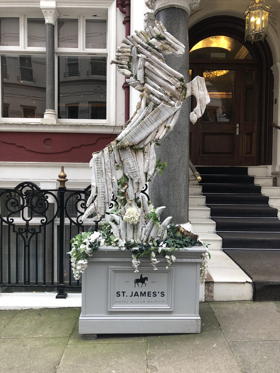 Michelle Boshoff-Turner tweet media