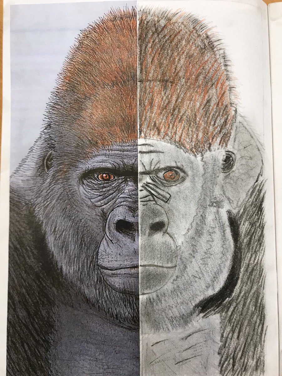 MissSmixedage's tweet image. Symmetry artwork was eye opening! The children were so observant and worked methodically to produce some beautiful artwork! #weareartists #symmetryart #mixedageteaching #teachertwitter