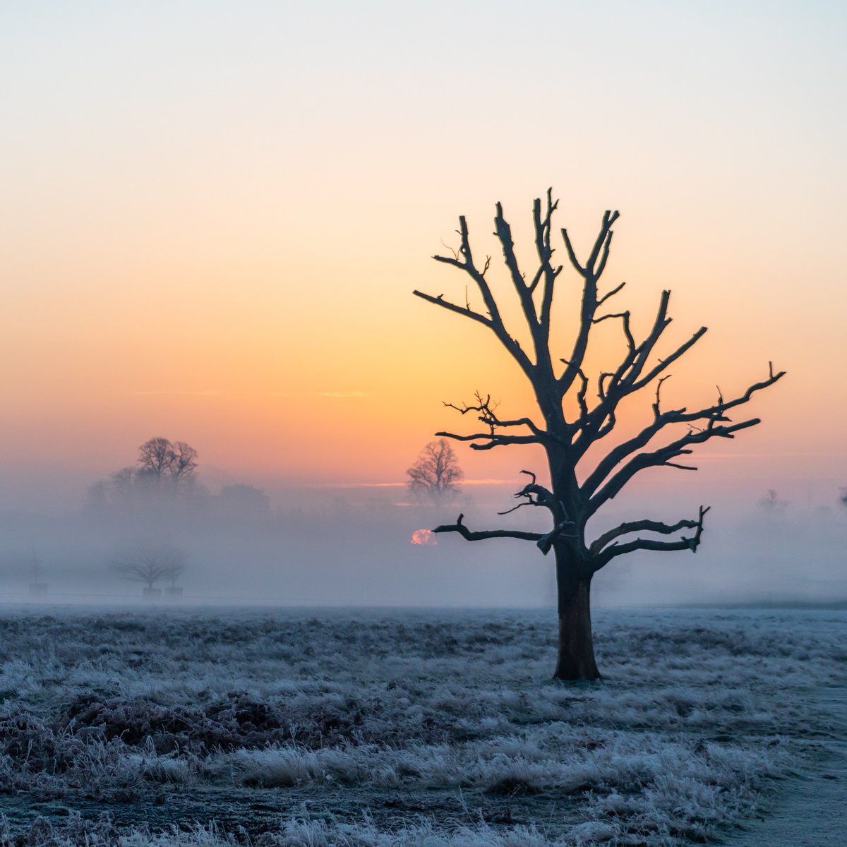 Sunrise from when we used to get sunrises...#stormhour #sunrise #bushypark