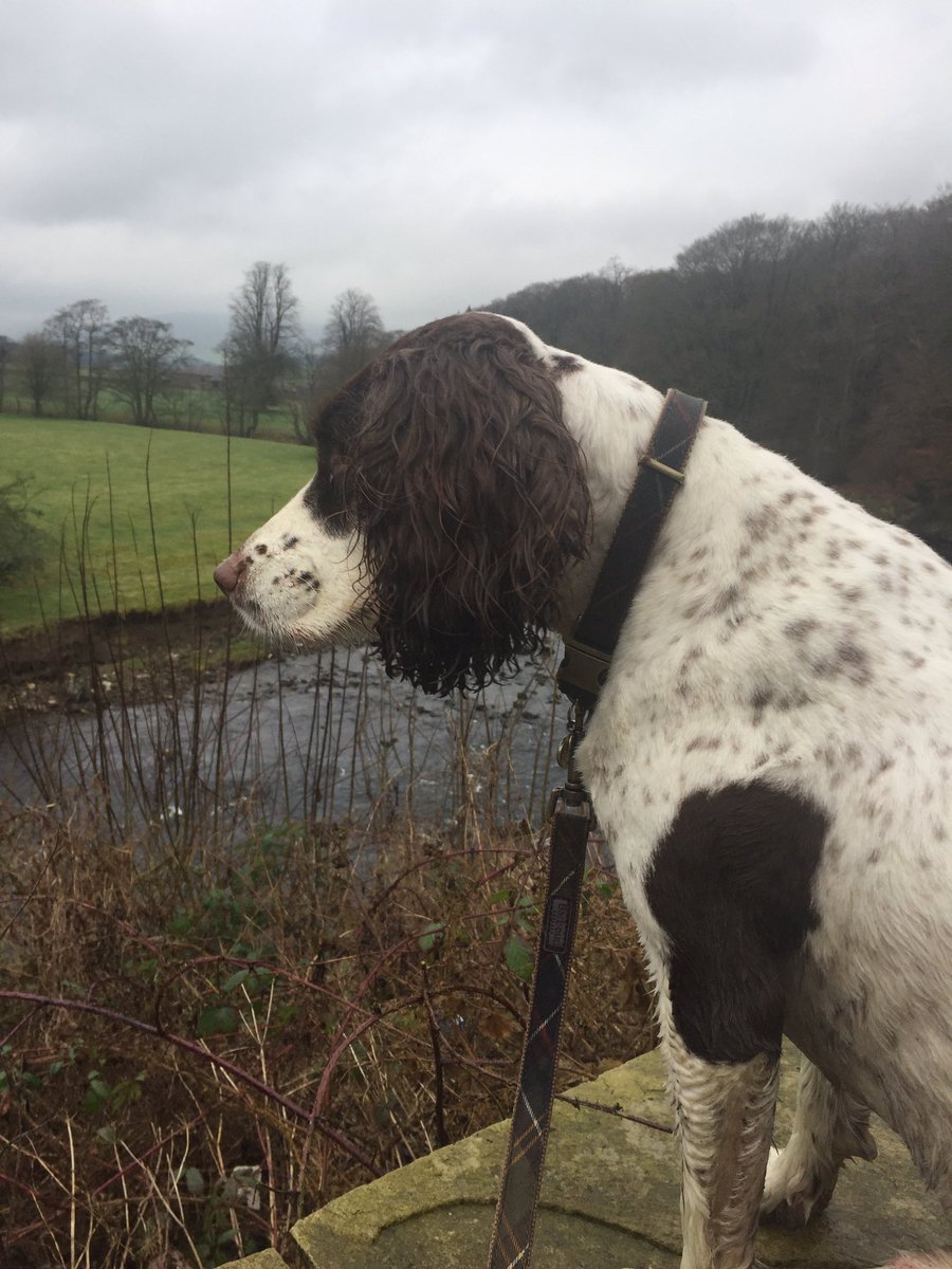 RubyRubyduby1's tweet image. Away with the parents !!