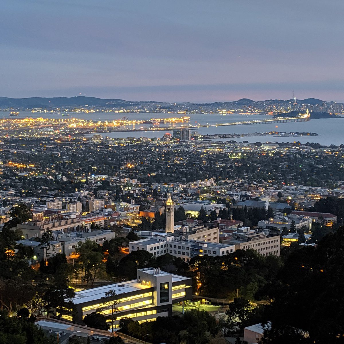 Overhead shot of the UC Berkeley campus at sunset