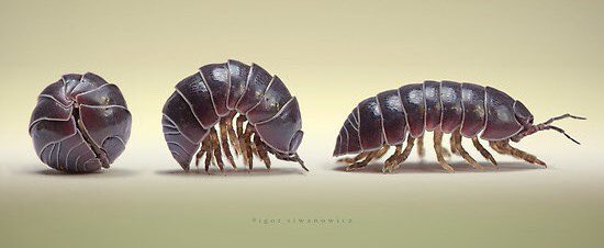 Jennifer Myers tweet media