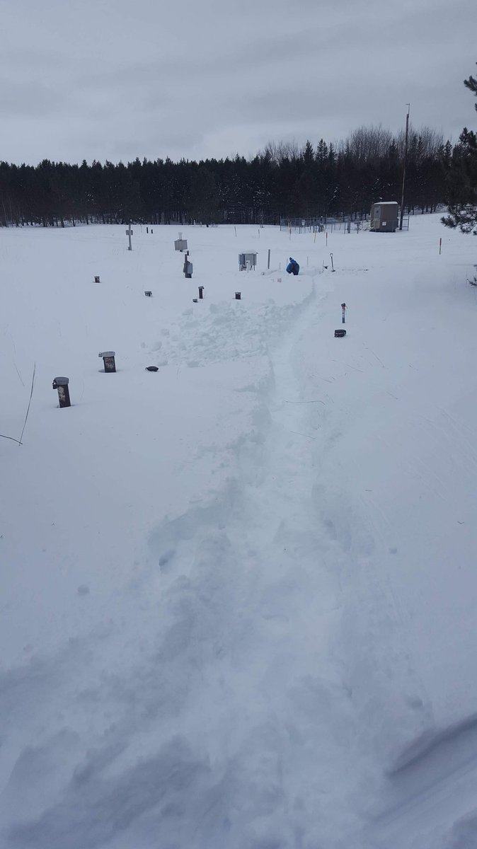 miriam_rslm's tweet photo. Hard workings students (Steve and Grayson) from @BemidjiState collecting data at the Pinewood oil spill site. @RUNgeophysics https://t.co/0aqYSlNRMZ