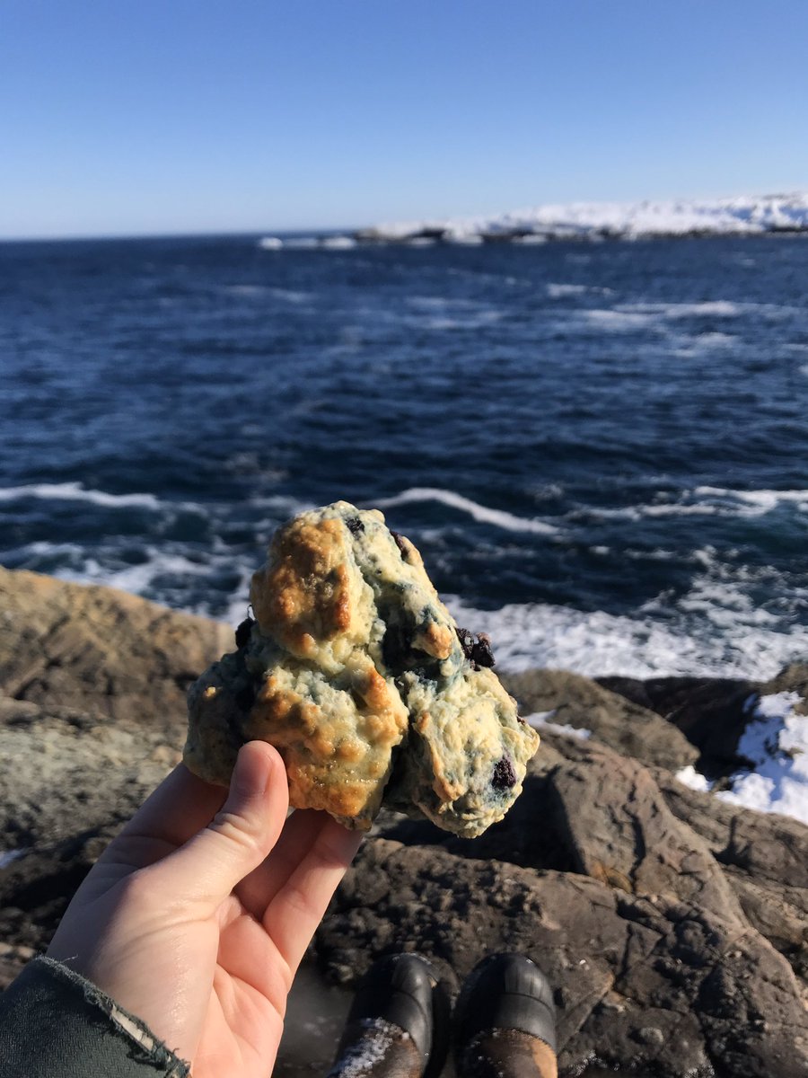 TerraMBarrett's tweet photo. Brunch @bernardstanleyN and a snowshoe along Stiles Cove Path, @EastCoastTrail with a @bannermanbrewco scone to celebrate that there is #nomoresoe!
The roads are still quite narrow so be safe - but enjoy the freedom! #eastcoasttrail #explorenl #getoutside #stilescovepath https://t.co/lbTbWYle7C