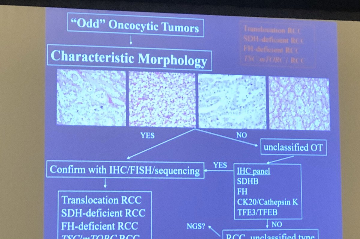 Maren Y. Fuller is not here tweet media