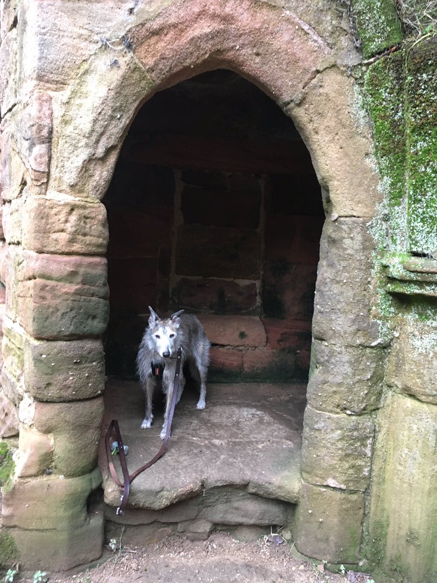 hairymansam's tweet image. Today we went to #Spofforth Castle. Another @EnglishHeritage site!

I really enjoyed this place. My visit was sandwiched between two megaruns at the playing field round the corner.... and coming back from my second run, I tried to visit the castle again!!

#historyhound