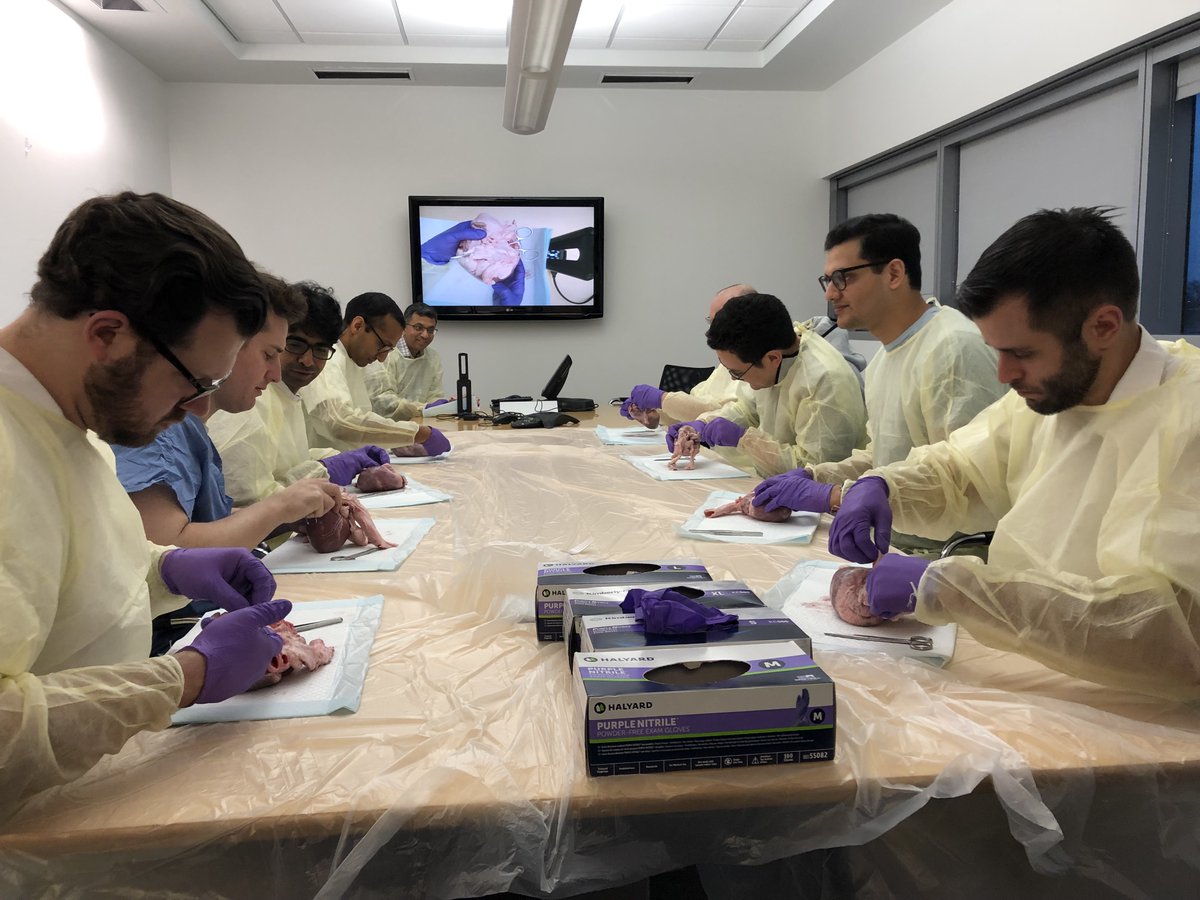 Rayji Tsutsui, MD, MPH (@rstsutsui) on Twitter photo Fantastic heart dissection session this am as it relates to structural heart interventions. Thanks <a href="/tavrkapadia/">Samir Kapadia</a>! <a href="/CleveClinicCath/">Cleveland Clinic Cath Lab</a> <a href="/chetanhuded/">Chetan Huded</a> @JeffreyRossi1 <a href="/nyalborgesmd/">Nyal Borges</a> <a href="/doctor_hansen/">H</a> @StephenKiddMD1 <a href="/CCFcards/">CCF Cardiology Fellows</a> #TAVR #TMVR #cardiotwitter Fantastic heart dissection session this am as it relates to structural heart interventions. Thanks <a href="/tavrkapadia/">Samir Kapadia</a>! <a href="/CleveClinicCath/">Cleveland Clinic Cath Lab</a> <a href="/chetanhuded/">Chetan Huded</a> @JeffreyRossi1 <a href="/nyalborgesmd/">Nyal Borges</a> <a href="/doctor_hansen/">H</a> @StephenKiddMD1 <a href="/CCFcards/">CCF Cardiology Fellows</a> #TAVR #TMVR #cardiotwitter