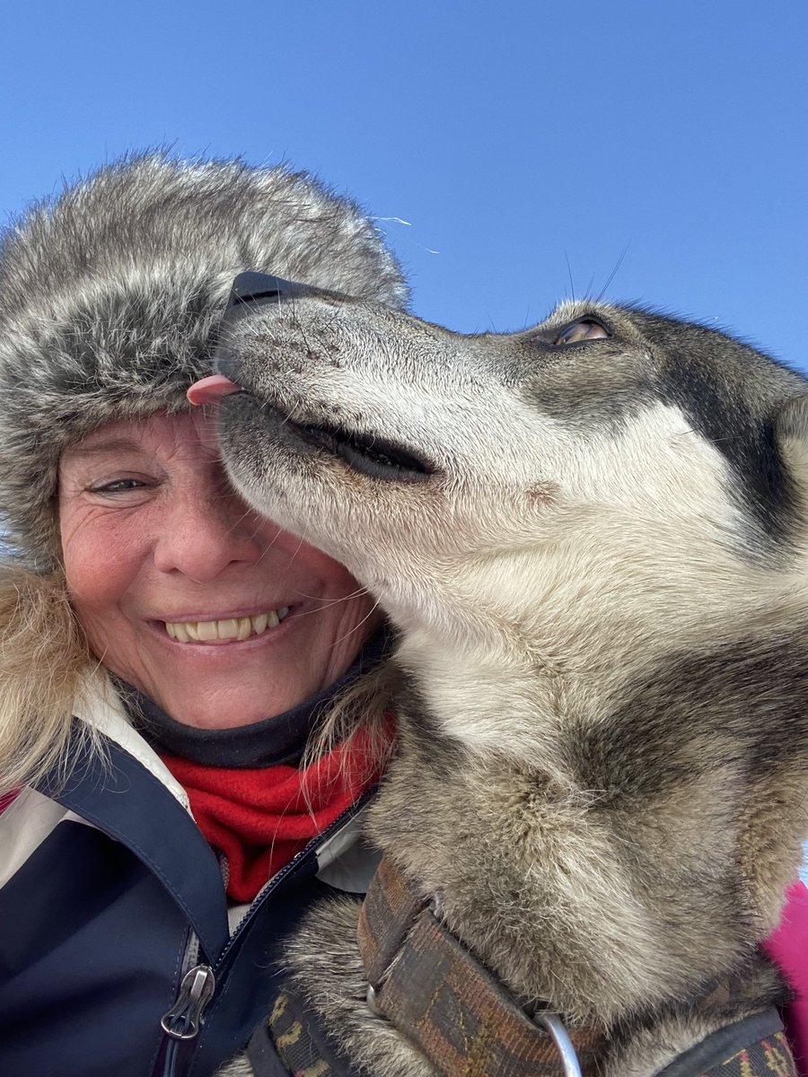 My leader for the day and my new best friend. Great day dog sledding. #adventouraslovakia