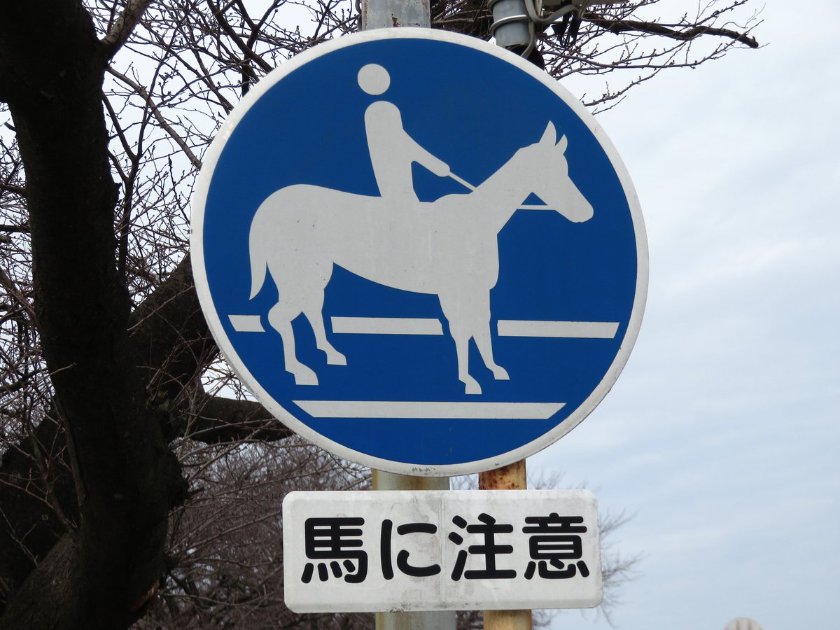 【道路ネタその763】
笠松町に存在する「馬に注意」標識。
ここ、競馬場の傍なので本当に馬が渡るんです…(2020/1/26撮影) #標識