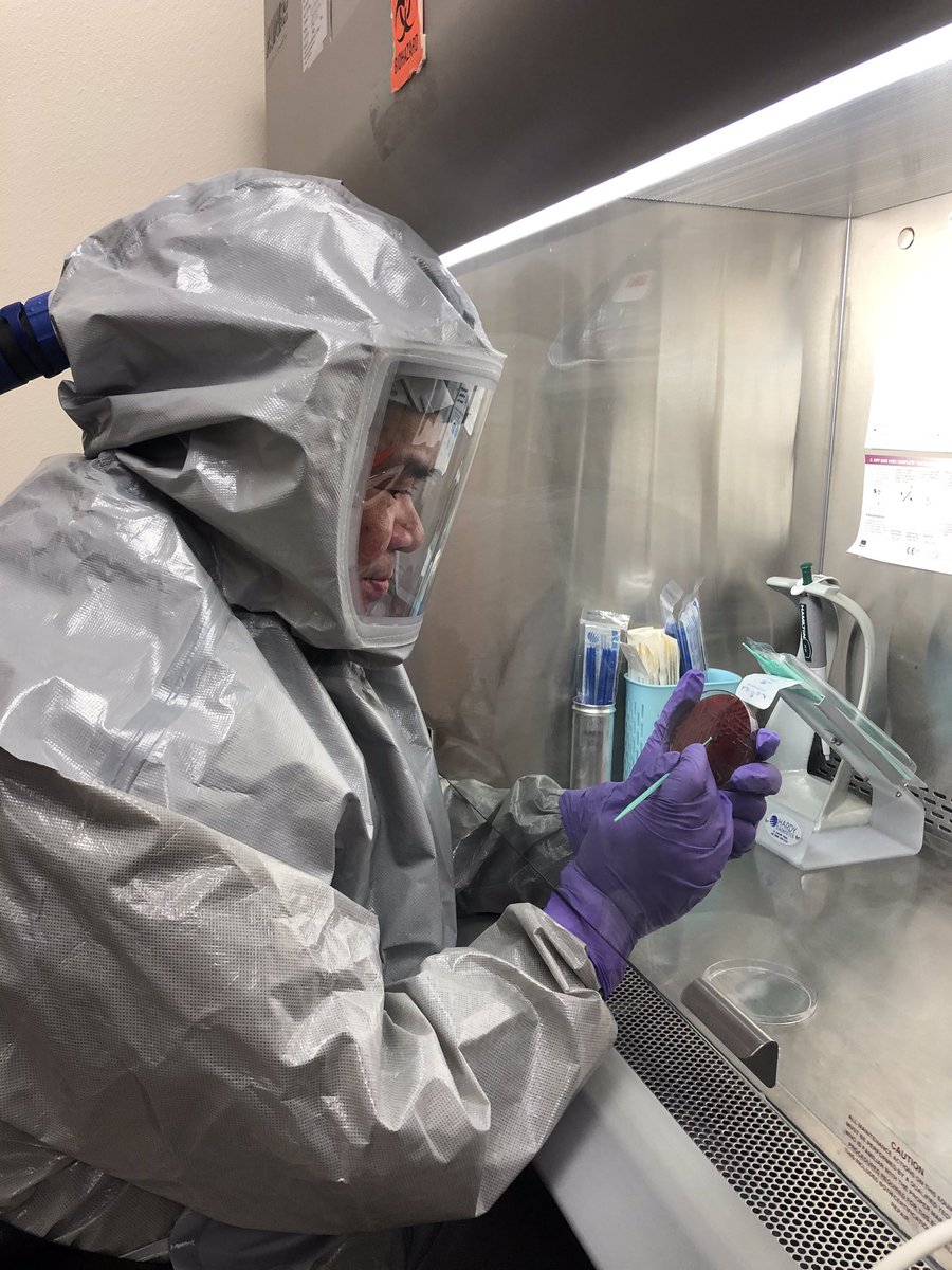rex_mls's tweet photo. With the death toll rising my heart goes to my fellow frontline healthcare professionals especially the Lab Team who are testing for the highly infectious virus &amp; to those taking care of patients affected with the 2019-nCoV)🦠 😷 #2019nCoV #ASCPsometeam #pametusainc https://t.co/z3vhjb5d4d