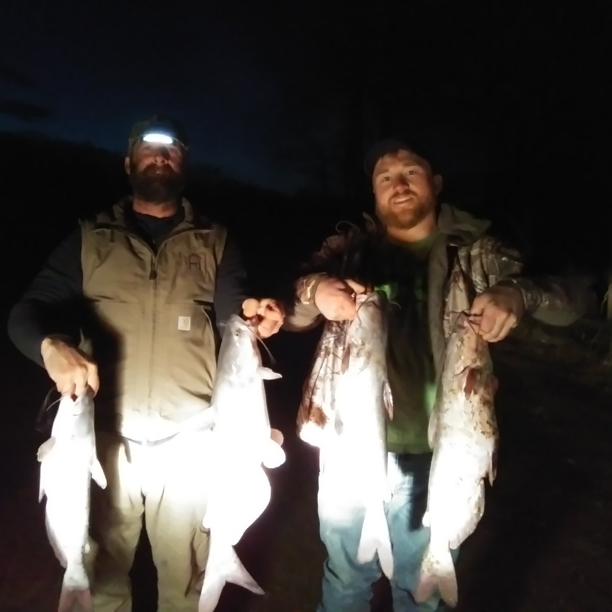 WithSterling's tweet photo. Jesse and I went on a catfishing trip today. Not bad we ended up with 11 nice blue catfish. Will be posting a video of the trip on my YouTube channel. Keep watching to see it. You don't want to miss this video. Some really good footage.🐟👀👍 https://t.co/8K3IxQiEnD