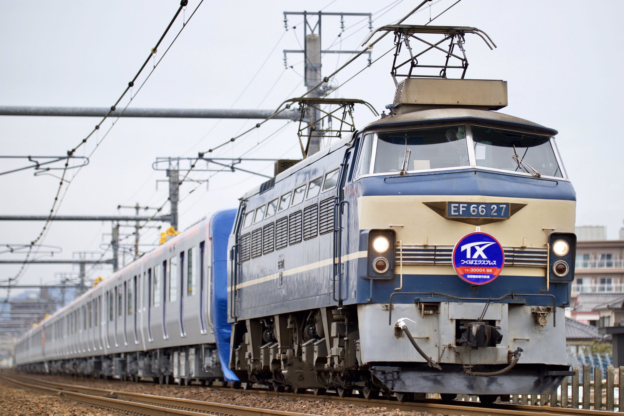 古伊万里　染付　松に鶴の図　火入れ　E933AS-fbrk MATOYA