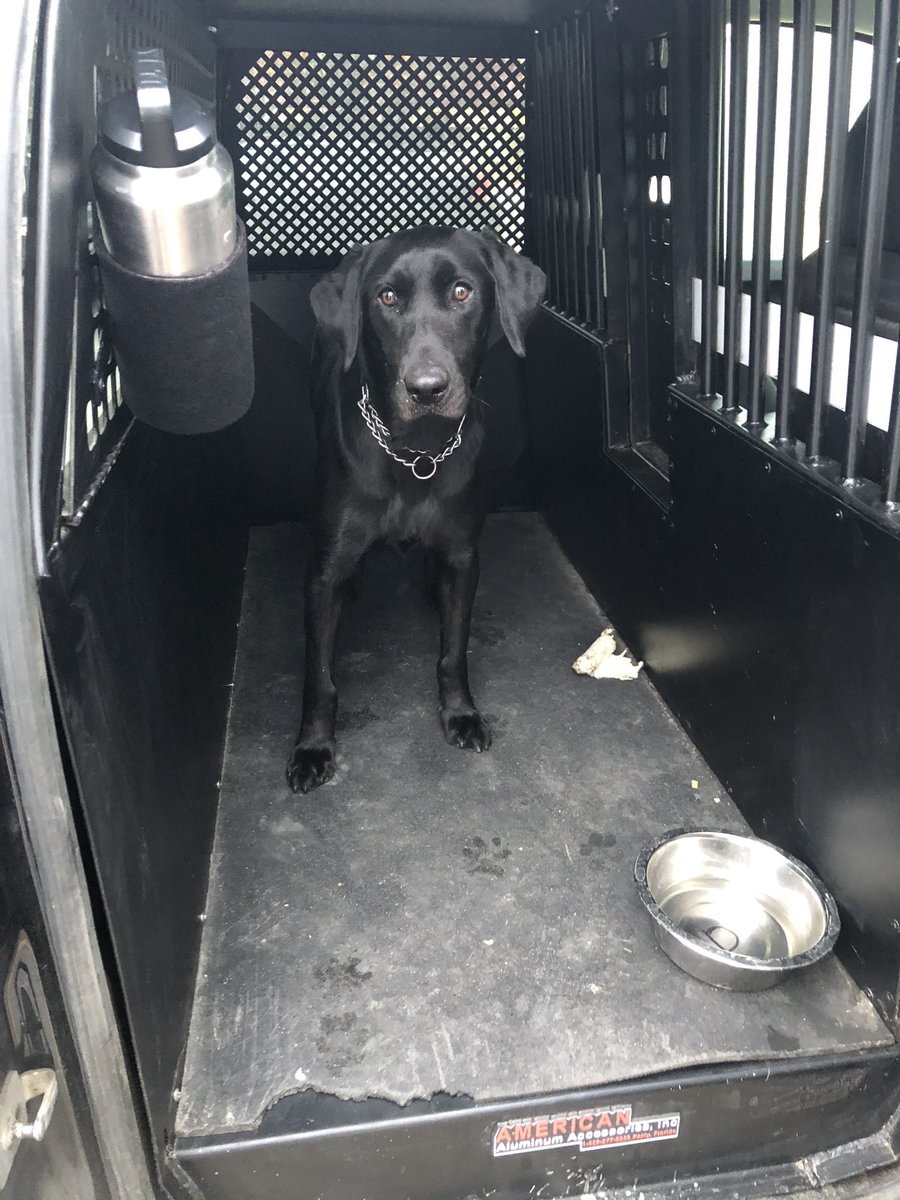 Okay dad, I think I have it figured out.  You actually want me to stay in the kennel in the truck and not in the front seat.