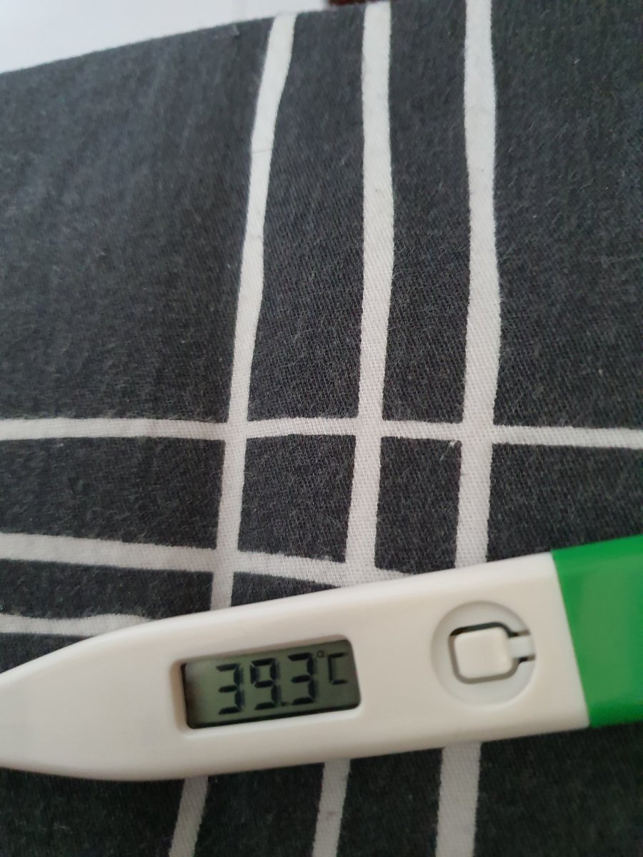 FirdausKhalif's tweet photo. Highest so far! https://t.co/dnpb03s54U