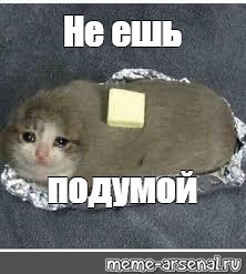 Кот мем. Нееш подумай мем. Подумай кот. Кот хлеб мем не ешь подумай. Котик в баночке.