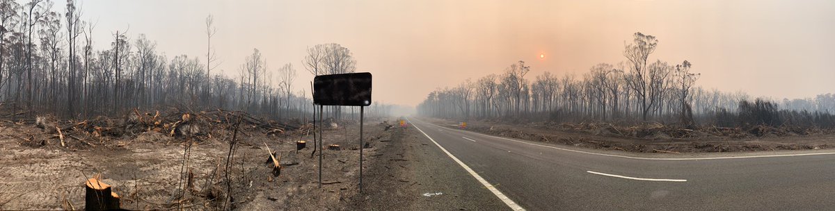 lisapieropan's tweet photo. @MikeLarkan on the way to Mallacoota this morning . Road signs burnt total devastation. Lisa Pieropan https://t.co/dF35JSps52