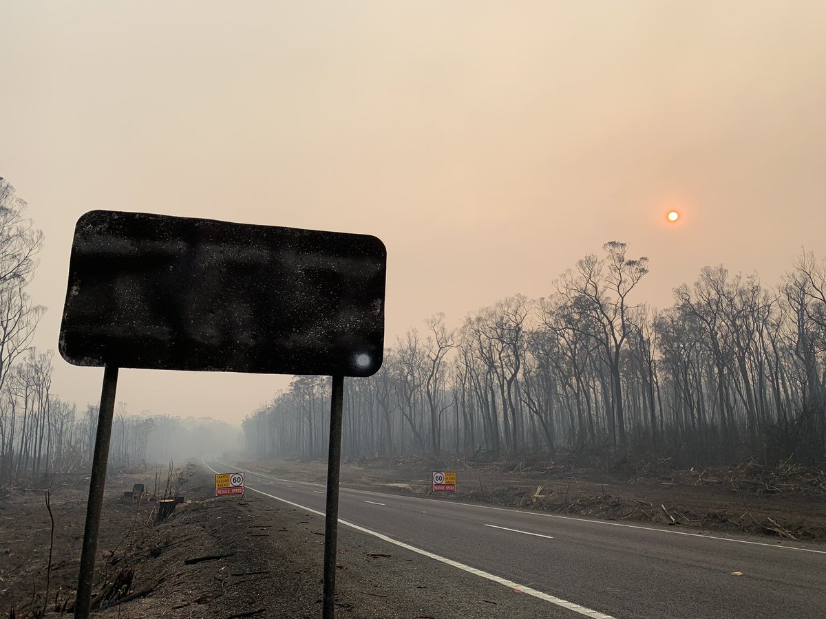lisapieropan's tweet photo. @MikeLarkan on the way to Mallacoota this morning . Road signs burnt total devastation. Lisa Pieropan https://t.co/dF35JSps52