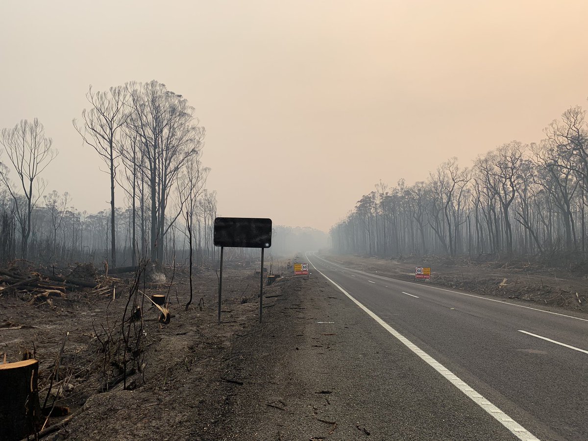 lisapieropan's tweet photo. @MikeLarkan on the way to Mallacoota this morning . Road signs burnt total devastation. Lisa Pieropan https://t.co/dF35JSps52