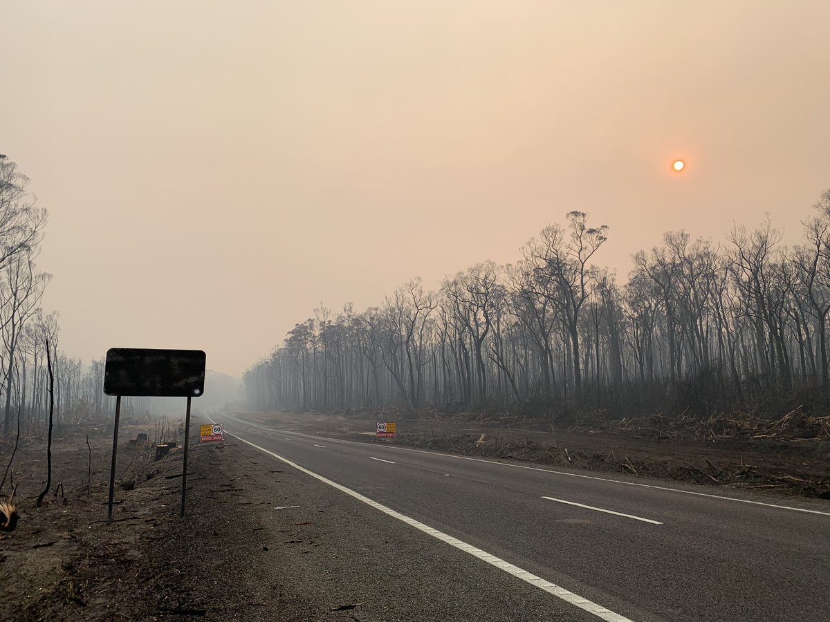 lisapieropan's tweet photo. @MikeLarkan on the way to Mallacoota this morning . Road signs burnt total devastation. Lisa Pieropan https://t.co/dF35JSps52