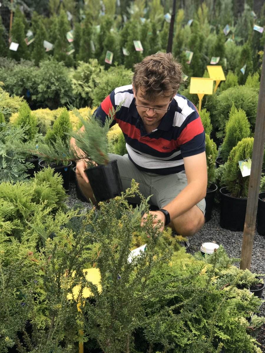 BonsaiEtcetera's tweet photo. When the wife grabs a secret snap while out ‘shopping’ 😂 
Follow my bonsai journey: @BonsaiEtcetera 
#Bonsai #bonsaitree #bonsaigarden #bonsailife #bonsailovers #bonsailove #bonsaiart #bonsaiwork #instabonsai #bonsaicare #bonsaigram #bonsais https://t.co/KUs4uRSUct