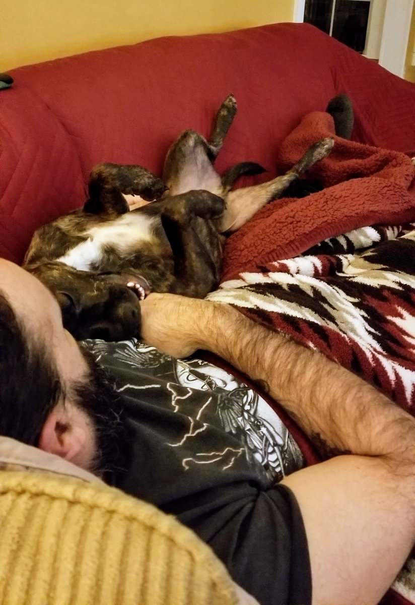 Rocco feel asleep while playing with dad. Shortly after, dad fell asleep too. What left mom listening to two of her guys snoring BOL