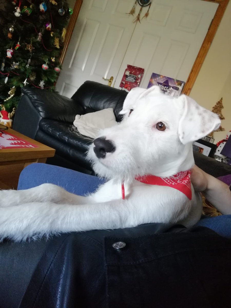 They grow up so fast 😥😁