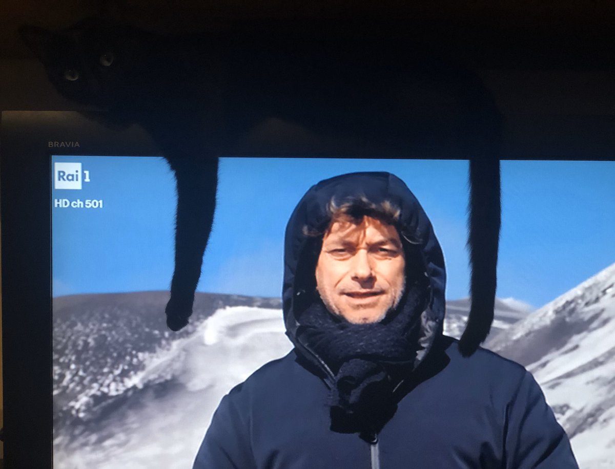 Anche la mia gatta assorbe cultura... e inquadra il divulgatore 😂 #Meraviglie #angelers <a href="/angelers_fan/">angelers</a> <a href="/RaiUno/">Rai1</a> <a href="/albertoangela/">Alberto Angela</a> #etna #gatto