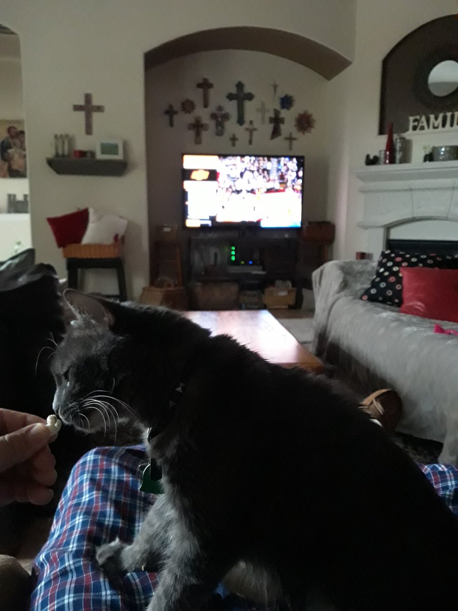 artgarcia_pmp's tweet photo. Hey @kittgarcia1 @speeduh30 @nic_Olvedo @andrewluvsjenny @jennay1913 @anderson_550 @moodge3 #MrMagellan & I π #OKSTvsTAMU #BTHOOkState #Whoop #Gigem
π₯ππππΌπͺπΌππΌ https://t.co/P2bOwsUmSK