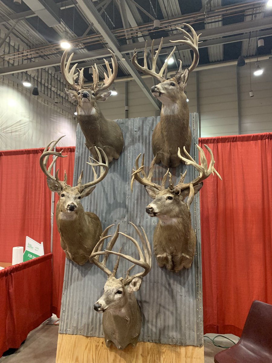 Hunter9David's tweet photo. Some giants! https://t.co/jLU9OSpKid