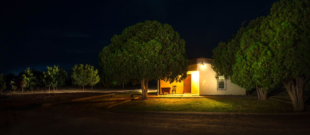 Sonic Ranch tweet media