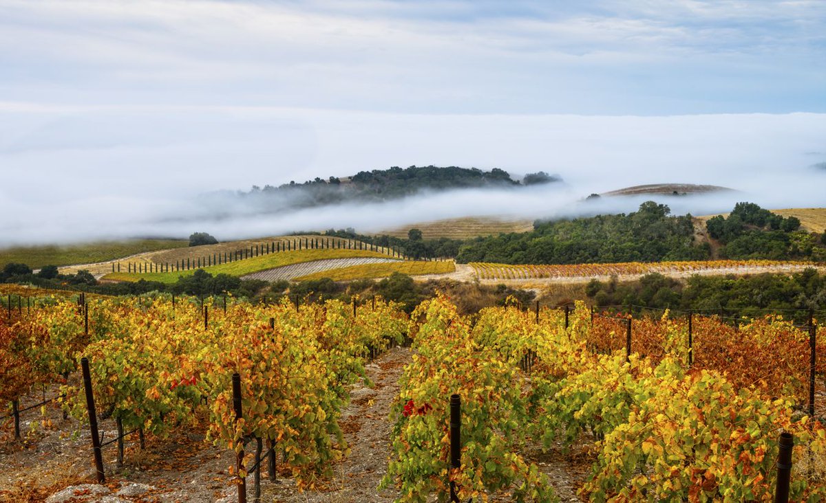 Kevin Henney tweet media